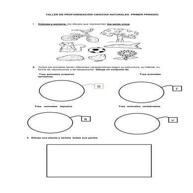 Taller de profundización naturales i periodo