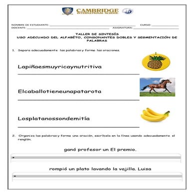 Taller de sintesís segmentación de oraciones