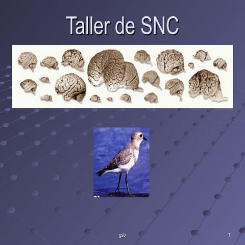 Taller de snc 2014 2