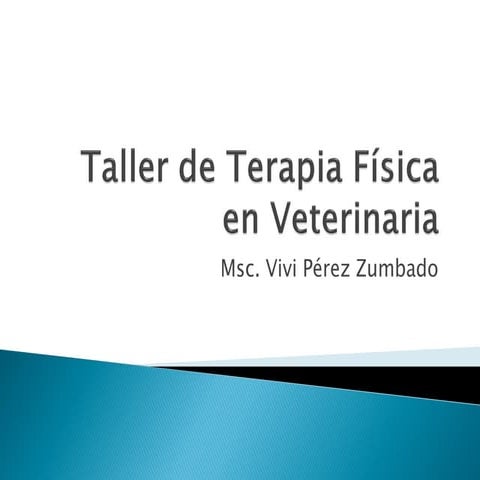 Taller de veterinaria
