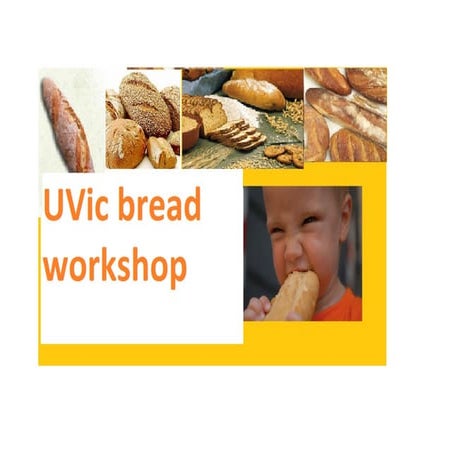 Bread workshop