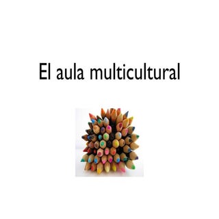 Taller: El aula multicultural