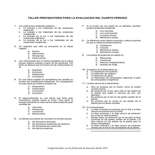 Taller preparatorio para evaluación IV periodo grado 6