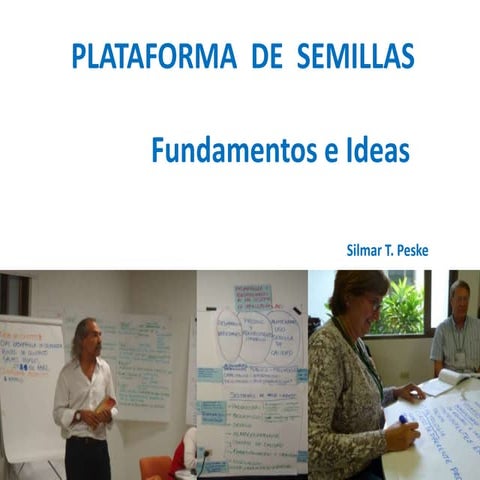 Taller semillas 2011 Silmar T Peske