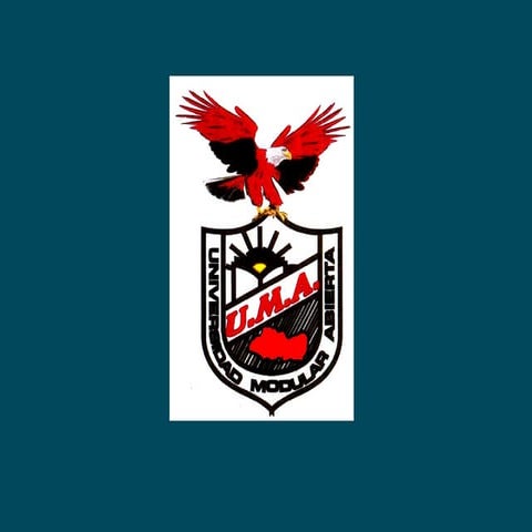 Configuración Interna del Tronco o Tallo cerebral 