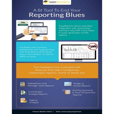 Tally BI Tool To End Your Reporting Blues | PDF