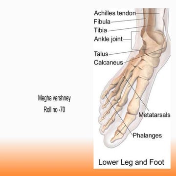 Approach to foot x ray.pdf