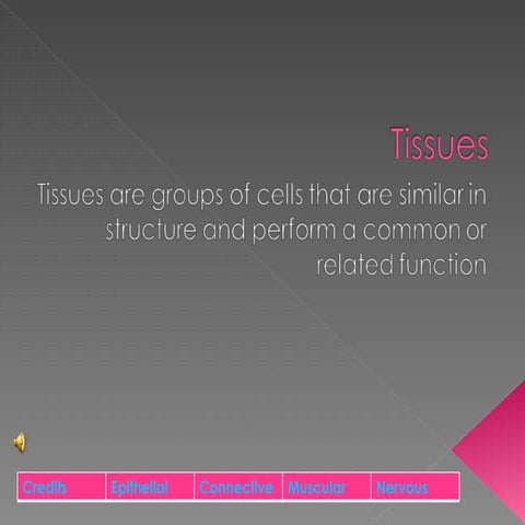 Talyns Tissues 2old Ver