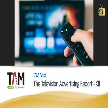 TAM AdEx-Television Advertising Report-XII