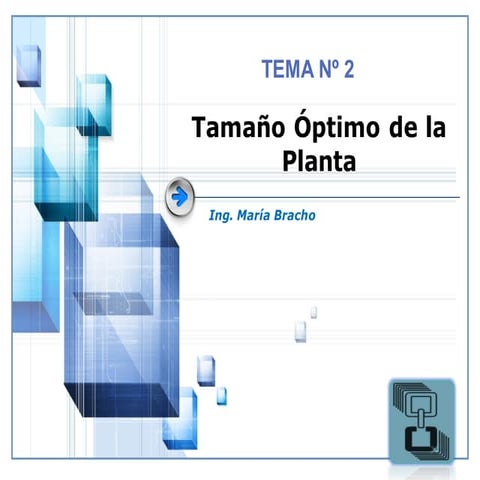 Determinación del Tamaño Óptimo de la Planta