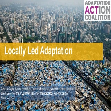Tamara Coger's presentation on locally led adaptation (WRI)