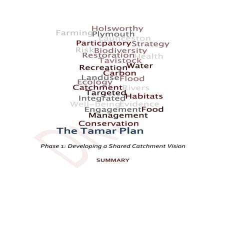 Tamar Catchment Plan 2012: Summary