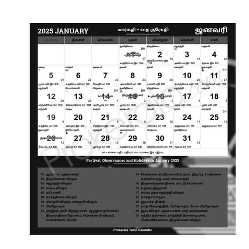 MATHRUBHUMI CALENDAR 2025 WITH TITHI PDF FREE DOWNLOAD IN ENGLISH TAMIL visual data 8