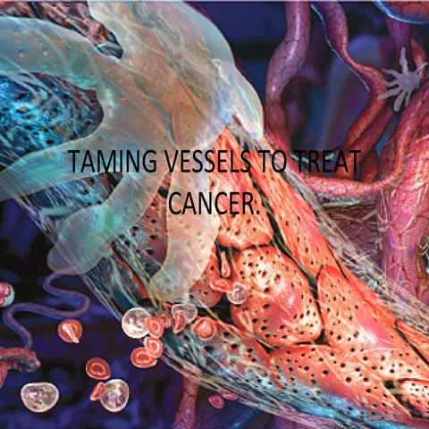Taming Vessels