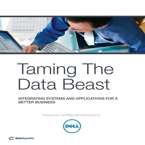 Taming the data beast
