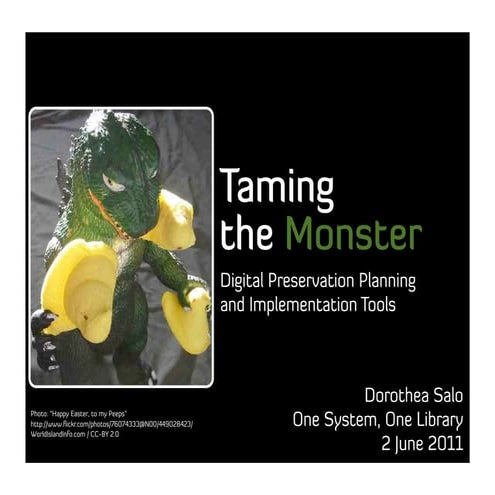 Taming the Monster: Digital Preservation Planning and Implementation Tools