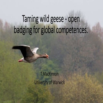 Taming wild geese alt2015