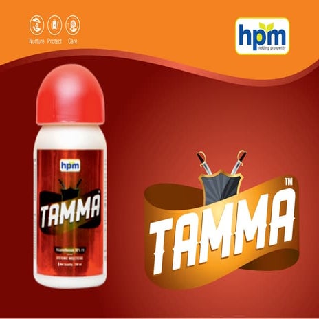 Tamma 