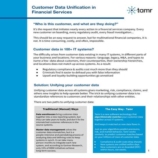 Tamr Financial Services Overview
