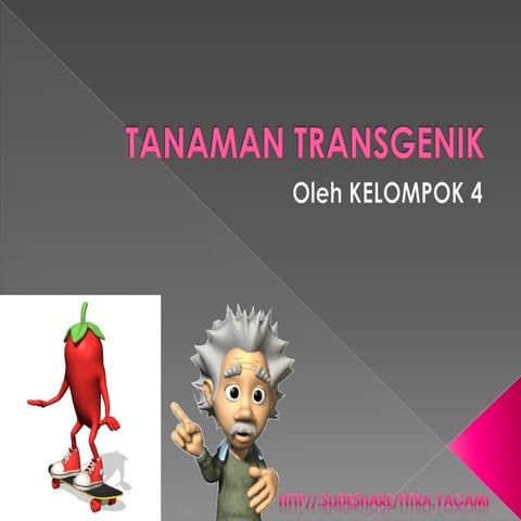 Tanaman Transgenik