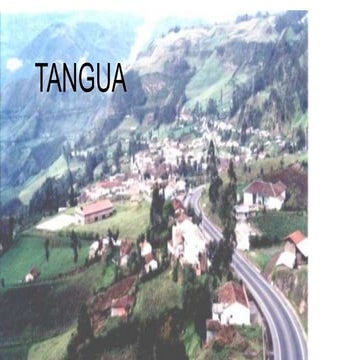 Tangua PPT