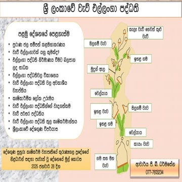 ශ්‍රී ලංකාවේ වැව් එල්ලංගා පද්ධති මුල් කොටස
