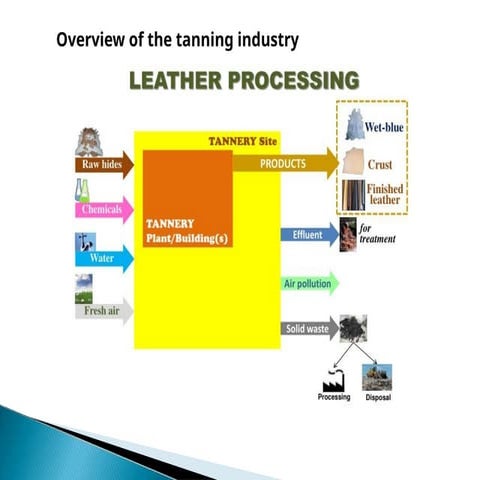 tanneries.pptx in which it is the leather | PPTX