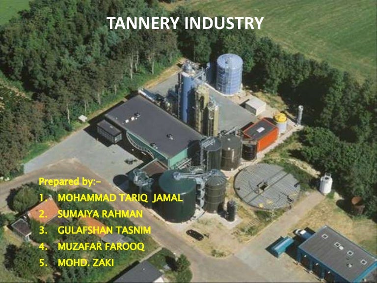 tannery industry operation, process and treatment