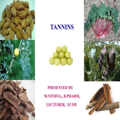 TANNINS -  I D.Pharm ER-20:13T