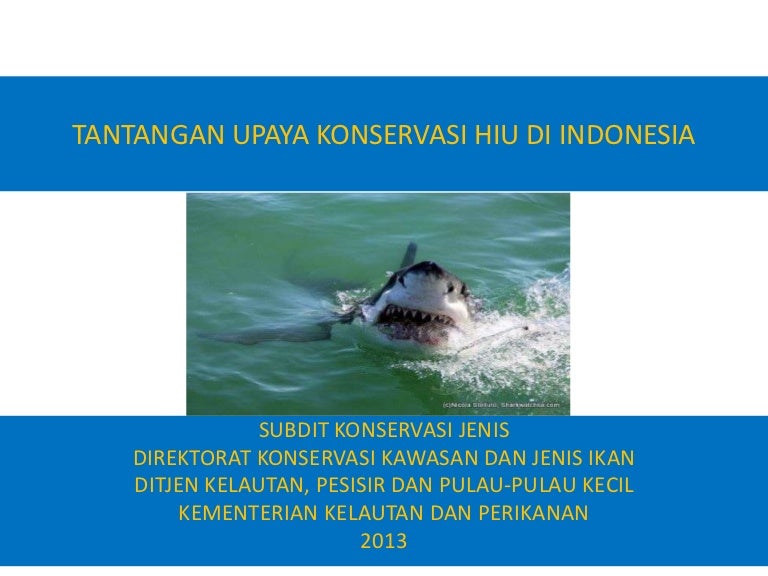 Tantangan Konservasi Ikan Hiu