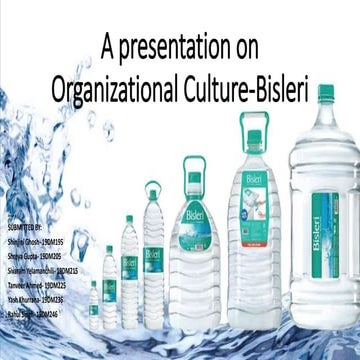 Presentation on organization culture