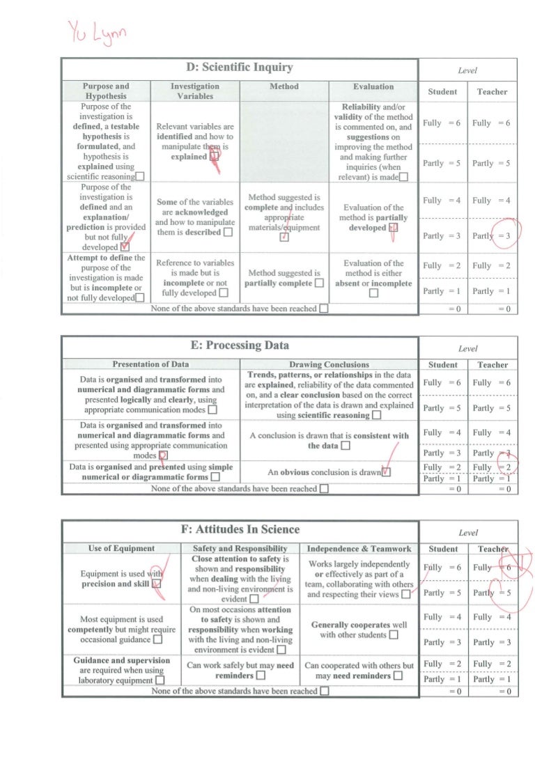 Yeast population lab report essay 05 image