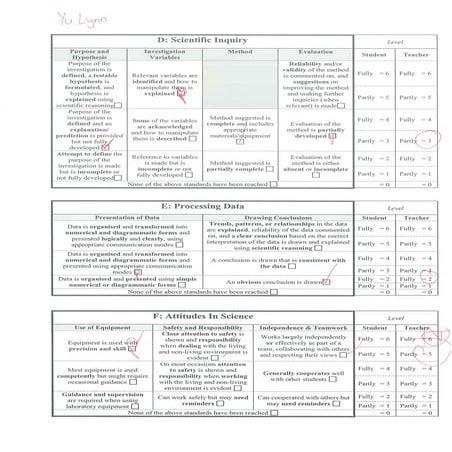 Yeast Lab Report