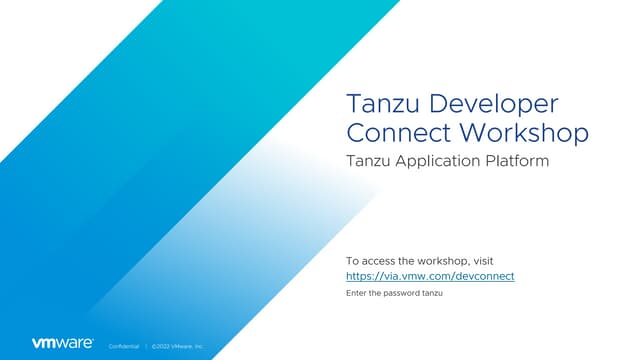 Virtual Developer Connect Workshop - English