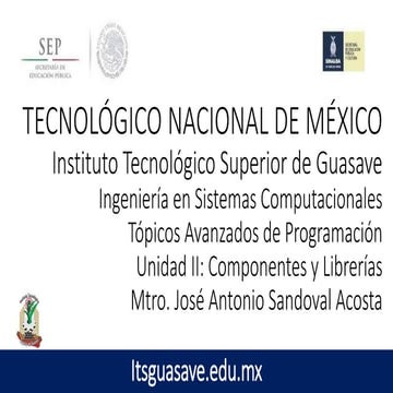 Tópicos Avanzados de Programación - Unidad 2 componentes y librerias