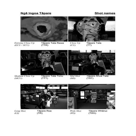 Ingoa Tāpare - Shot Names