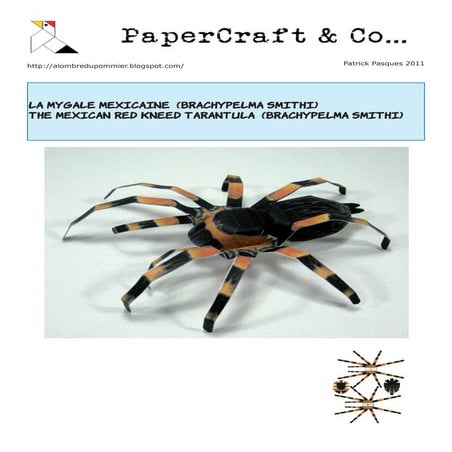 Tarantula | PDF