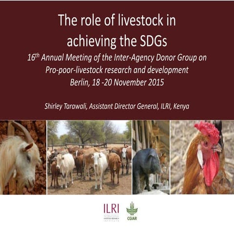   The role of livestock in achieving the SDGs