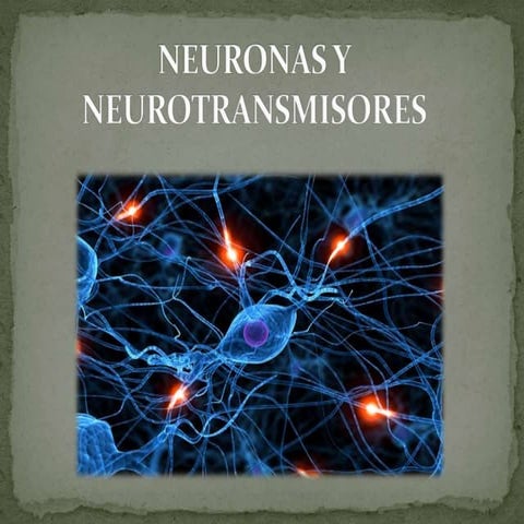 Neuronas y neurotransmisores