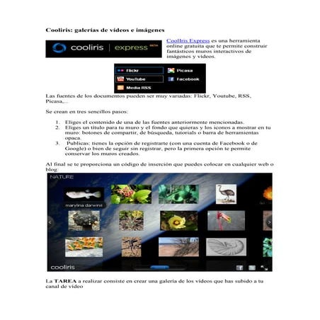 Tarea 14: Cooliris, creando galerías de vídeos