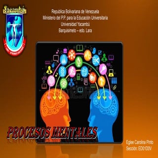 Procesos Mentales