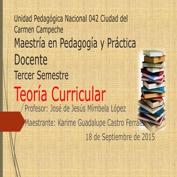 ¿Qué y cuáles son las Teorías Curriculares?