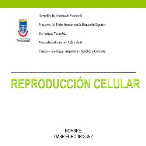 Tarea3. gabriel rodriguez