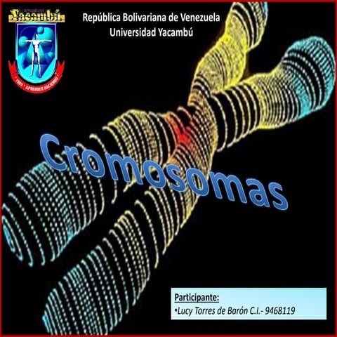 Tarea3 cromosomas