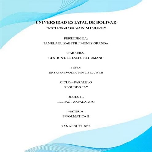 ENSAYO EVOLUCION DE LA WEB  