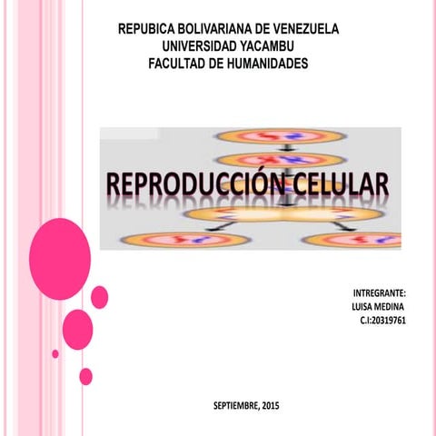 Tarea 3 genetica y conducta, reproducion celular