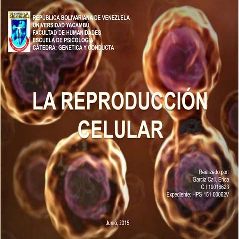 Reproduccion Celular