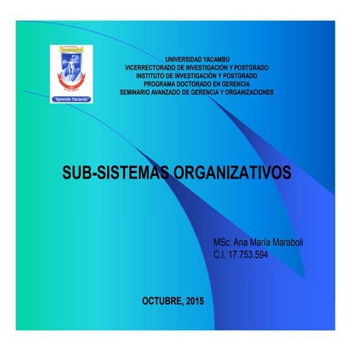 Sub-sistemas organizativos
