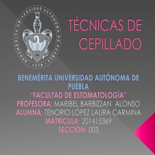 Técnicas de Cepillado