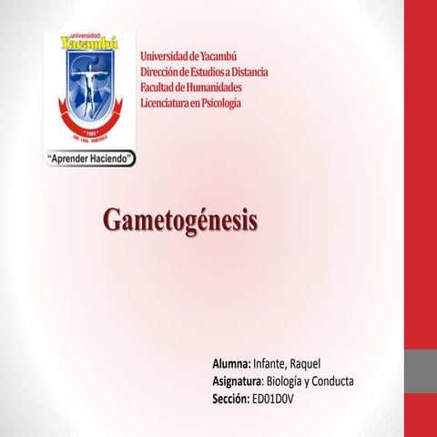 Gametogénesis | PPTX